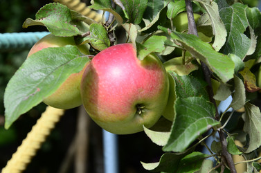 Similar image 21045960