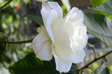 Similar image 21048078