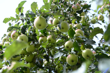 Similar image 21048079