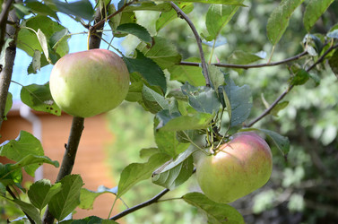 Similar image 21048080