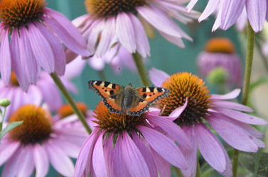 Similar image 21048082