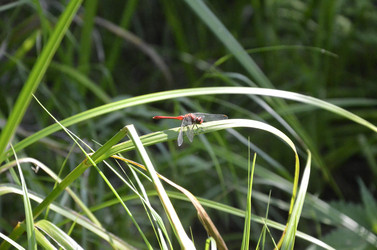 Similar image 21048084