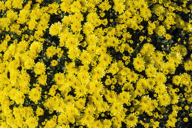 Similar image 21046039