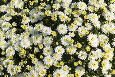 Similar image 21046040