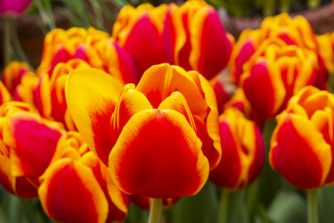 Similar image 21046042