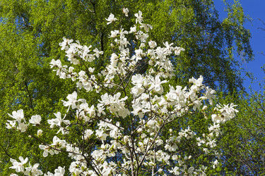 Similar image 21046043