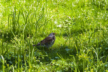 Similar image 21046045