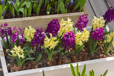 Similar image 21046046