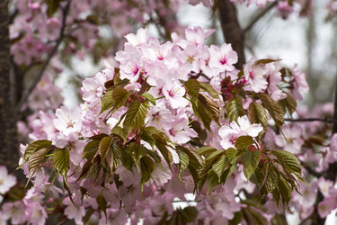 Similar image 21046047