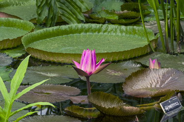 Similar image 21046048