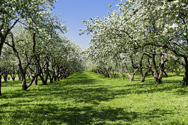 Similar image 21046052