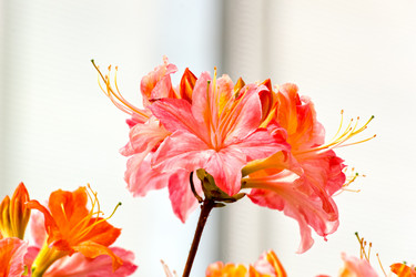 Similar image 21046054