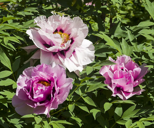 Similar image 21046055