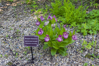 Similar image 21046057