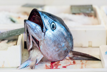 Similar image 21057141