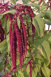 Similar image 21046656