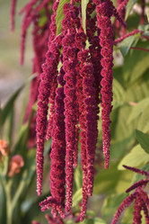 Similar image 21046657