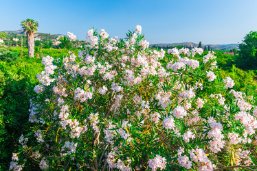 Similar image 21055879