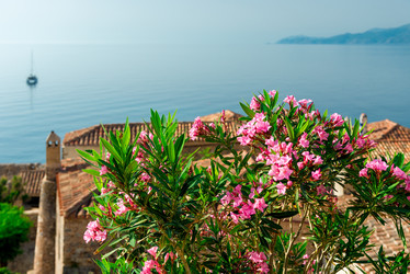 Similar image 21056225