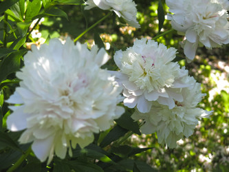 Similar image 21045973