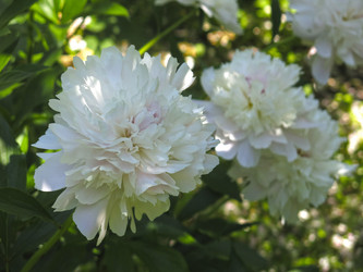 Similar image 21045974