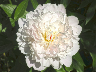 Similar image 21045962