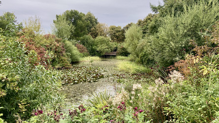 Similar image 21050411