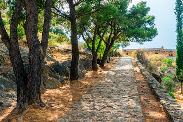 Similar image 21057004