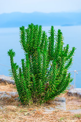 Similar image 21057034