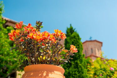 Similar image 21057048