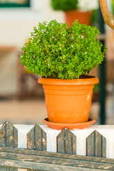 Similar image 21056278