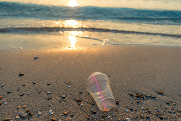 Similar image 21056817