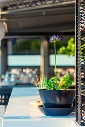 Similar image 21056830