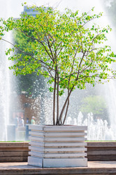 Similar image 21057415