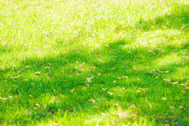 Similar image 21057418