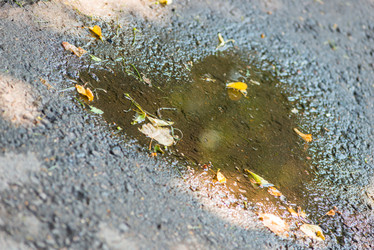 Similar image 21057420