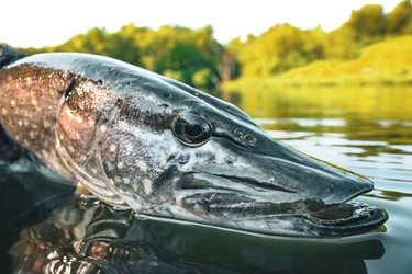 Similar image 21048203