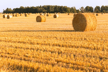 Similar image 21074446