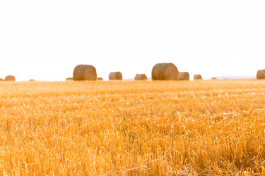 Similar image 21074447