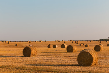 Similar image 21071590