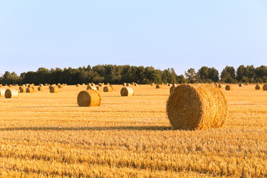 Similar image 21071612