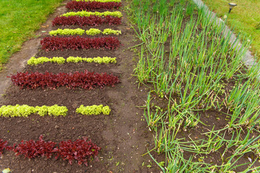 Similar image 21071615