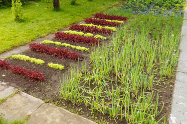 Similar image 21071619