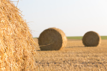 Similar image 21071621