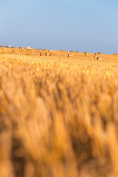 Similar image 21071622