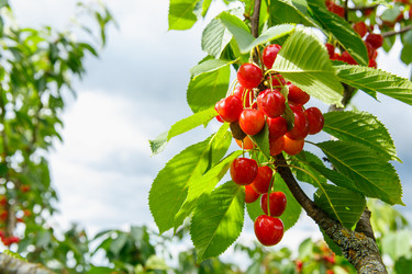 Similar image 21071768