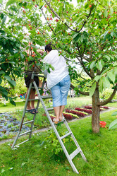 Similar image 21071770