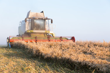 Similar image 21071774