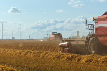 Similar image 21071785