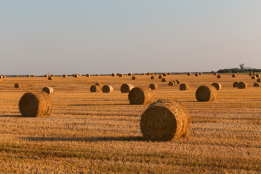 Similar image 21071787